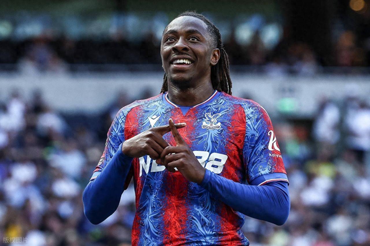 阿森纳球员卡努